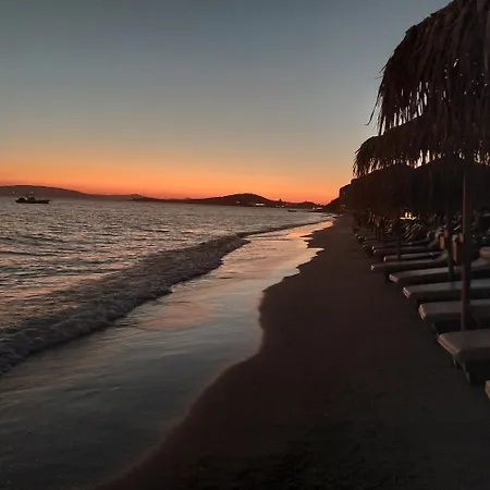 Aesthete Agia Anna (Naxos)